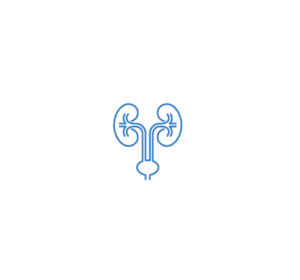 urodnamia-01