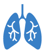 pulmones