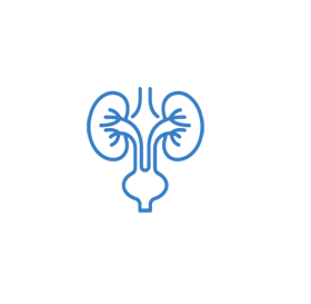 urologia